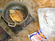 Piraña frita. Selva. Ecuador