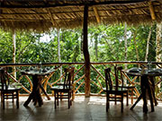 Restaurante. Arcoiris Jungle Lodge. Ecuador