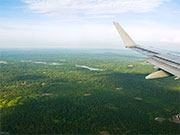 Jungle view from airplane Jungle view from airplane