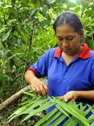 El tejido para el techo